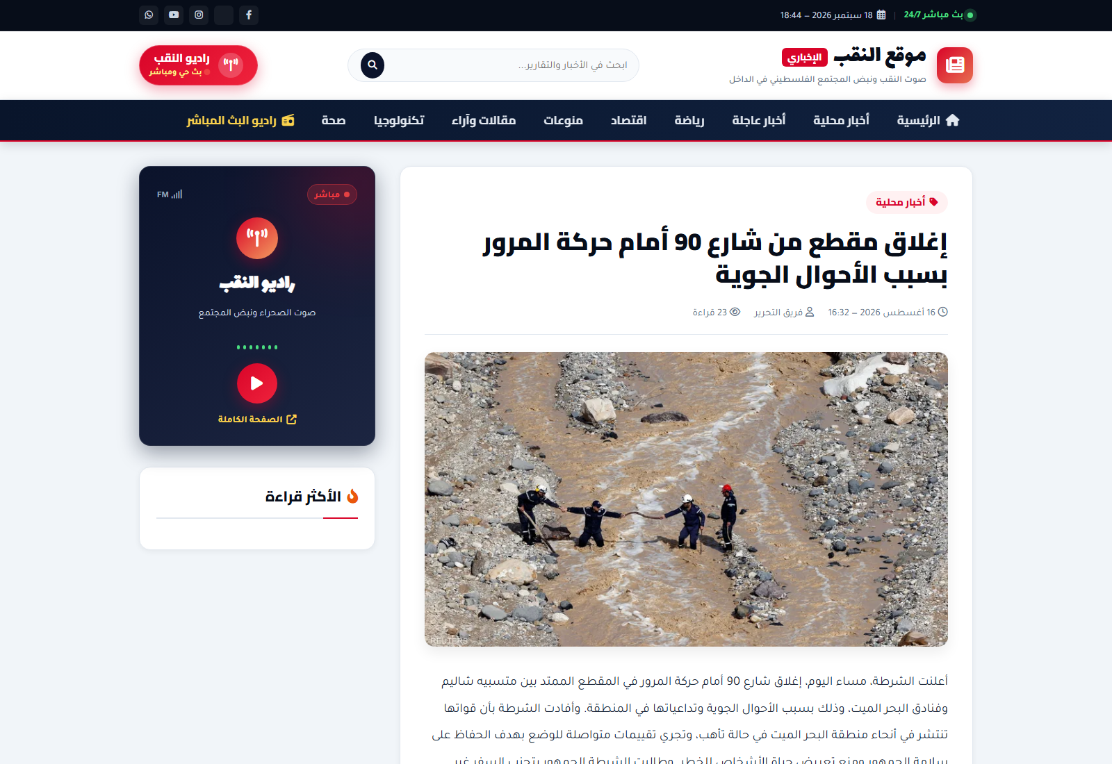 صفحة المقال والقراءة